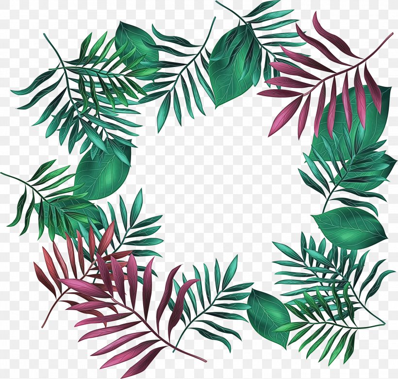 Family Tree Background, PNG, 2718x2591px, Leaf, Branch, Colorado Spruce, Conifer, Fir Download Free