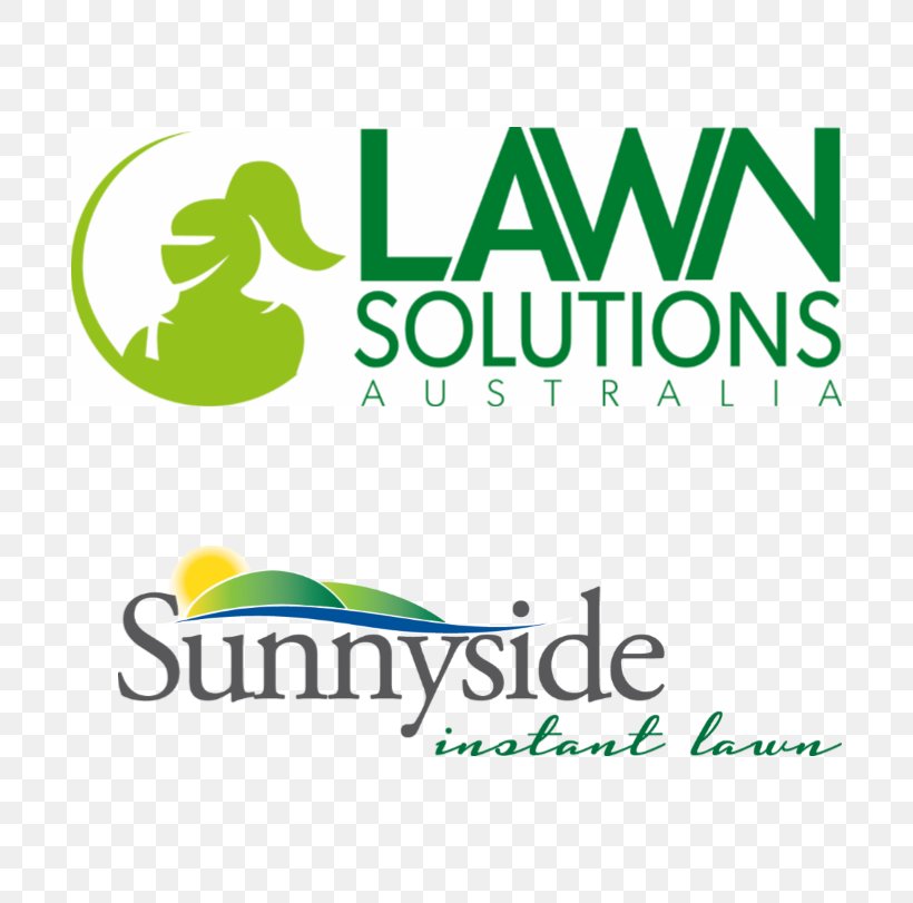 Lawn Sod Artificial Turf Landscaping Daleys Turf, PNG, 694x811px, Lawn, Area, Artificial Turf, Aussie, Australia Download Free