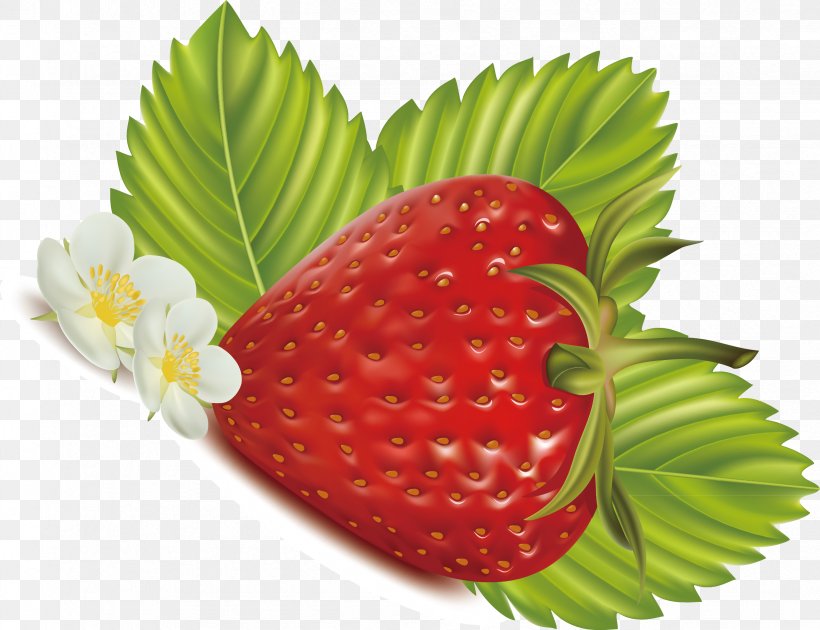 Strawberry Frutti Di Bosco Euclidean Vector Food, PNG, 2453x1885px, Strawberry, Accessory Fruit, Diet Food, Food, Fruit Download Free