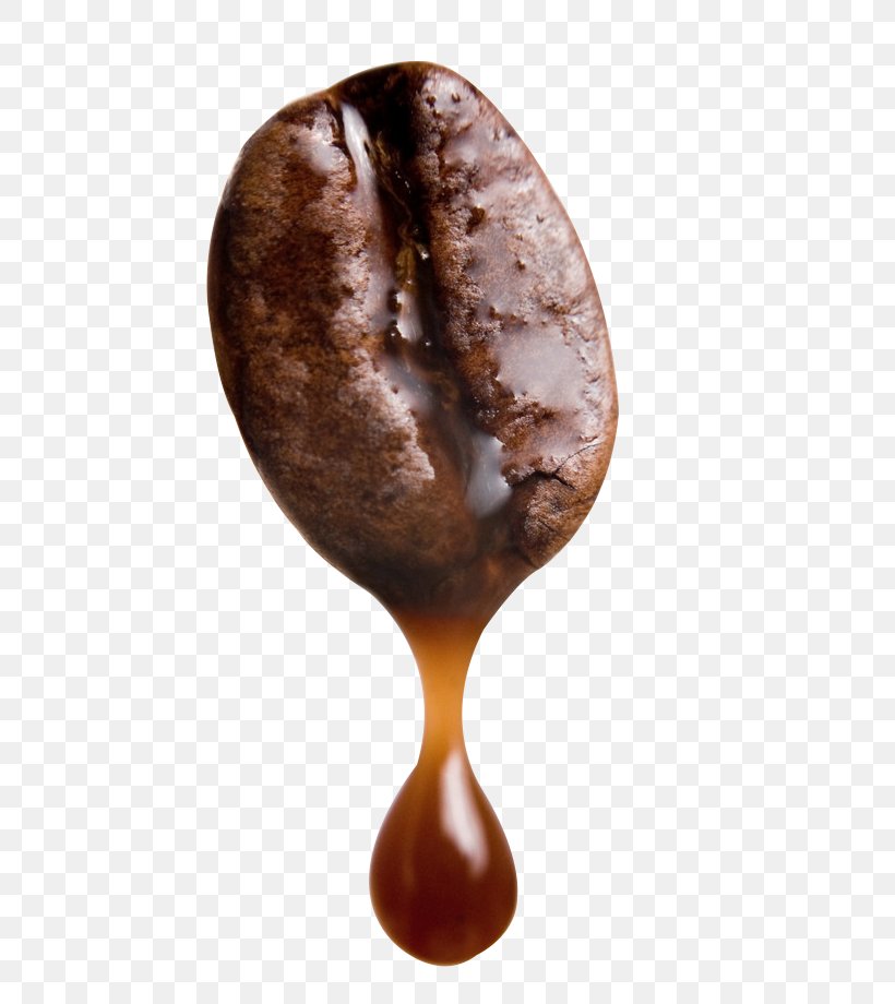 Arabica Coffee Cafe Robusta Coffee Coffee Bean, PNG, 609x920px, Coffee, Brewed Coffee, Camp Coffee, Chocolate, Coffee Bean Download Free