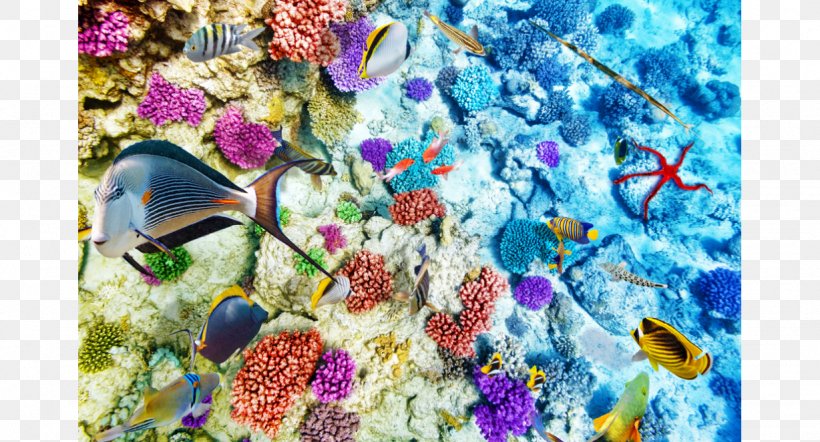 Coral Reef Life Coral Reef Fish Ocean, PNG, 1228x662px, Coral Reef, Coral, Coral Reef Fish, Fish, Marine Biology Download Free