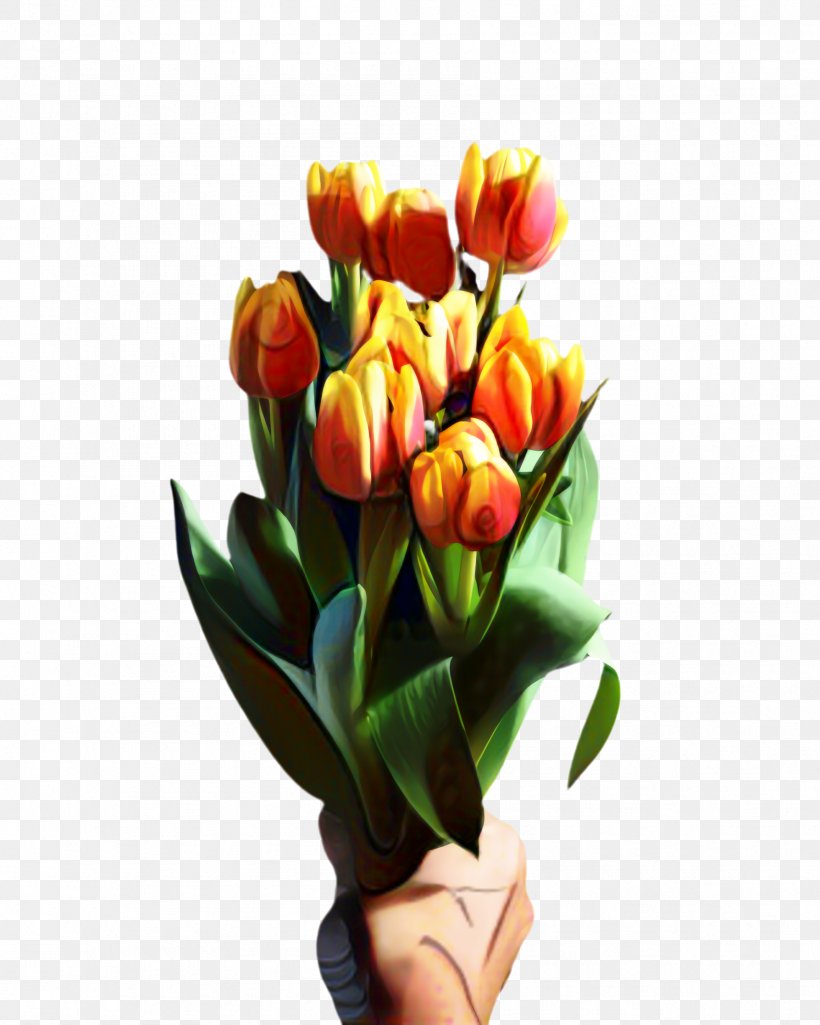 Lily Flower Cartoon, PNG, 1788x2235px, Tulip, Artificial Flower, Blossom, Bouquet, Bud Download Free