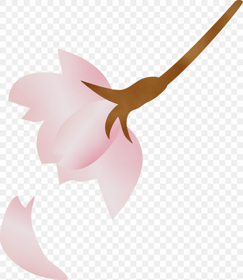 Pink Flower Plant Petal Herbaceous Plant, PNG, 2603x3000px, Cherry Flower, Floral, Flower, Herbaceous Plant, Paint Download Free