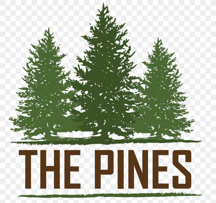 The Pines At Rapid City Kitchen LaCrosse Estates Apartments House, PNG, 1109x1045px, Kitchen, Apartment, Art Museum, Business, Christmas Download Free