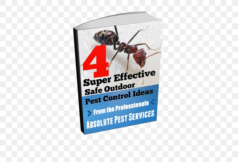 Ant Banner, PNG, 503x557px, Ant, Advertising, Banner Download Free