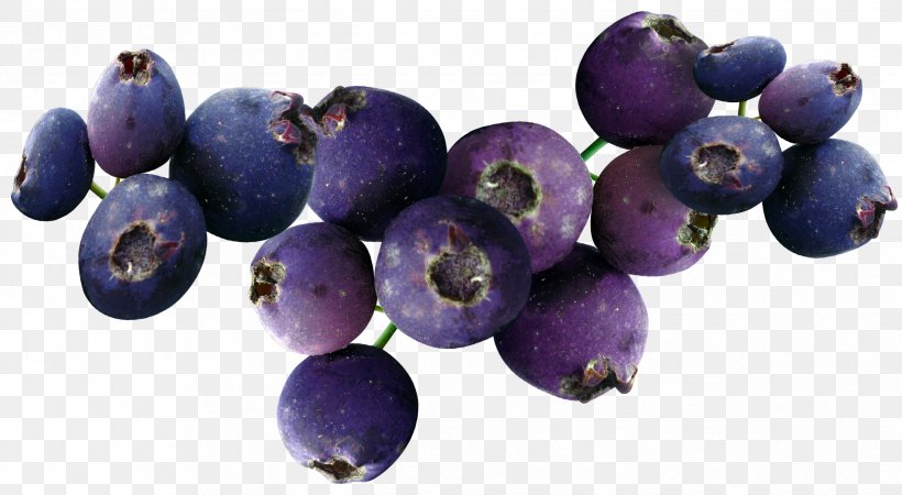 Blueberry Fruit, PNG, 2481x1364px, Blueberry, Bead, Berry, Bilberry, Damson Download Free