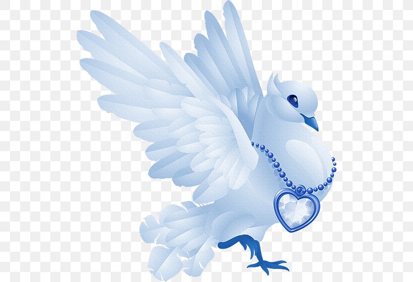 Columbidae Domestic Pigeon Release Dove Clip Art, PNG, 516x560px, Columbidae, Beak, Bird, Domestic Pigeon, Doves As Symbols Download Free