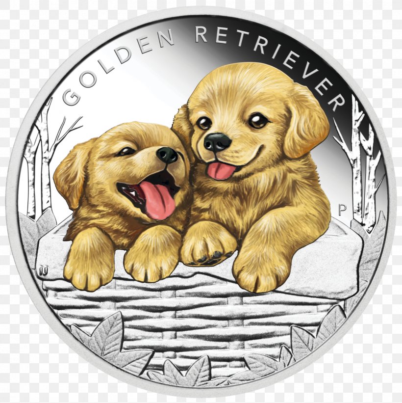 Golden Retriever Perth Mint Puppy The Border Collie: A Guide To Selection, Care, Nutrition, Training, Health, Breeding, Sports And Play, PNG, 1598x1600px, Golden Retriever, Border Collie, Carnivoran, Coin, Companion Dog Download Free