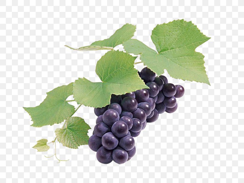 Grape Seed Extract Wine Grapefruit, PNG, 776x616px, Grape, Food, Fruit, Grape Leaves, Grape Seed Extract Download Free