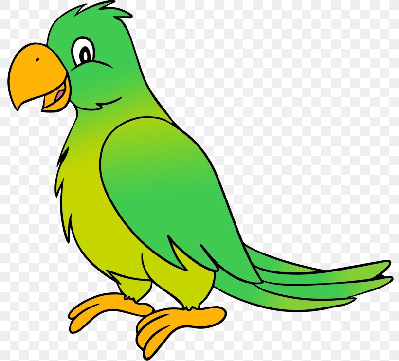 Parrot Lovebird Clip Art, PNG, 800x742px, Parrot, Area, Artwork, Beak, Bird Download Free