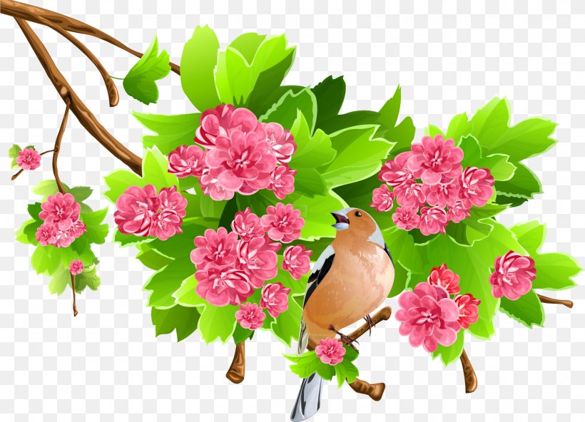Flower Clip Art, PNG, 1615x1167px, Flower, Blossom, Branch, Cartoon, Cut Flowers Download Free