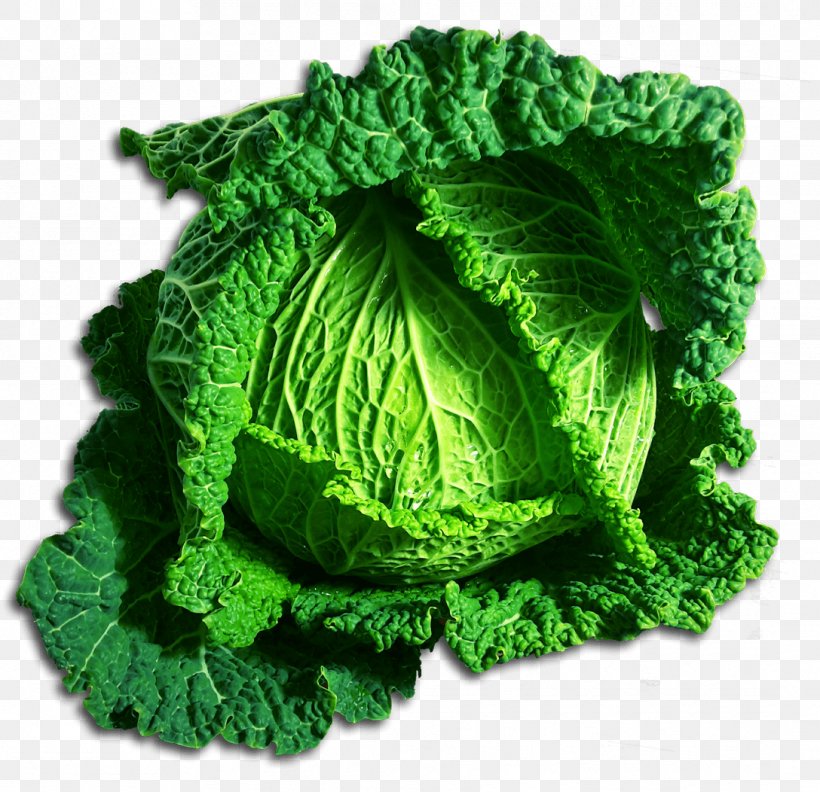 Leaf Vegetable Savoy Cabbage, PNG, 1088x1052px, Vegetable, Bok Choy, Cabbage, Chinese Cabbage, Collard Greens Download Free
