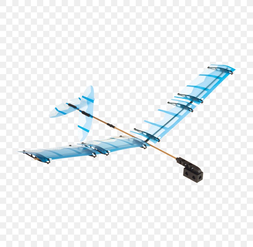 Model Aircraft Radio-controlled Aircraft Aerospace Engineering General Aviation, PNG, 800x800px, Model Aircraft, Aerospace, Aerospace Engineering, Aircraft, Airplane Download Free