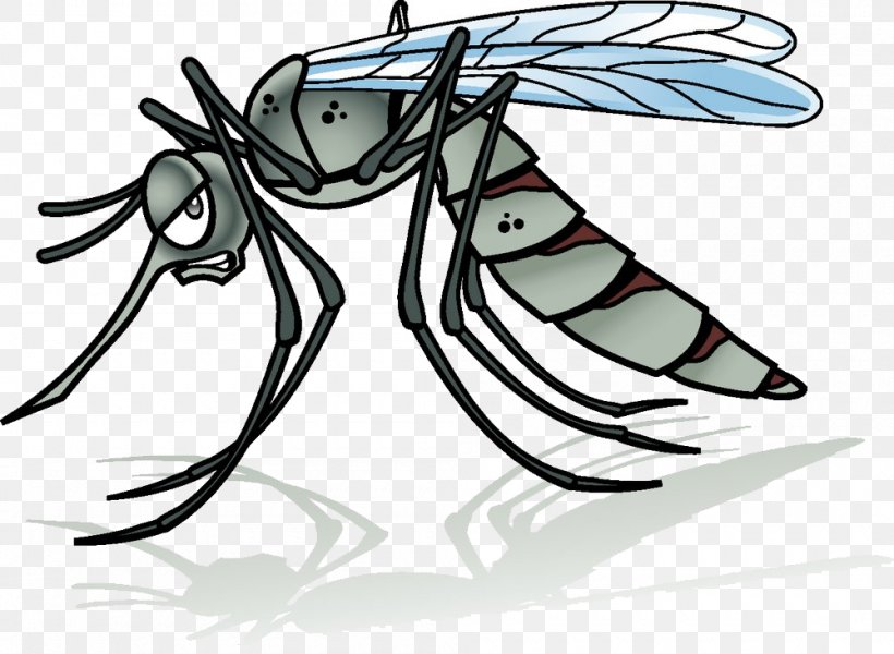 Mosquito Cartoon Illustration, PNG, 1000x732px, Watercolor, Cartoon, Flower, Frame, Heart Download Free