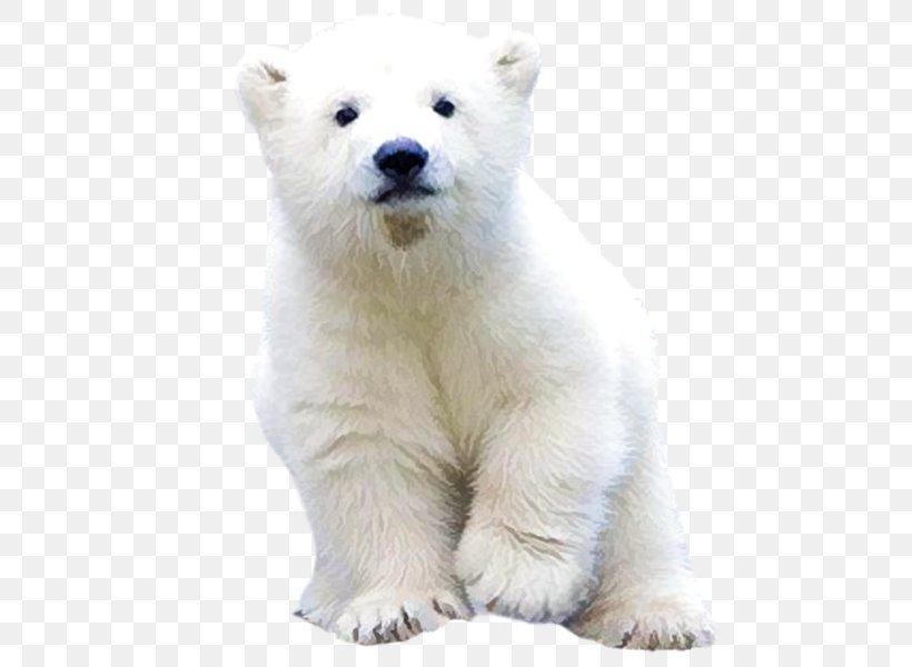 Polar Bear Arctic Brown Bear Clip Art, PNG, 600x600px, Polar Bear, Arctic, Bear, Brown Bear, Carnivoran Download Free