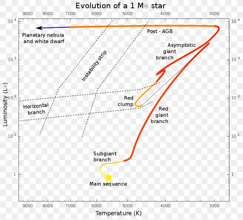Asymptotic Giant Branch Red-giant Branch Red Giant Main Sequence Horizontal Branch, PNG, 970x878px, Asymptotic Giant Branch, Area, Diagram, Document, Giant Star Download Free