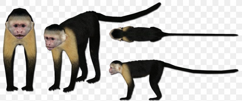 Cat Monkey Animal, PNG, 1024x428px, Cat, Animal, Animal Figure, Carnivoran, Cat Like Mammal Download Free