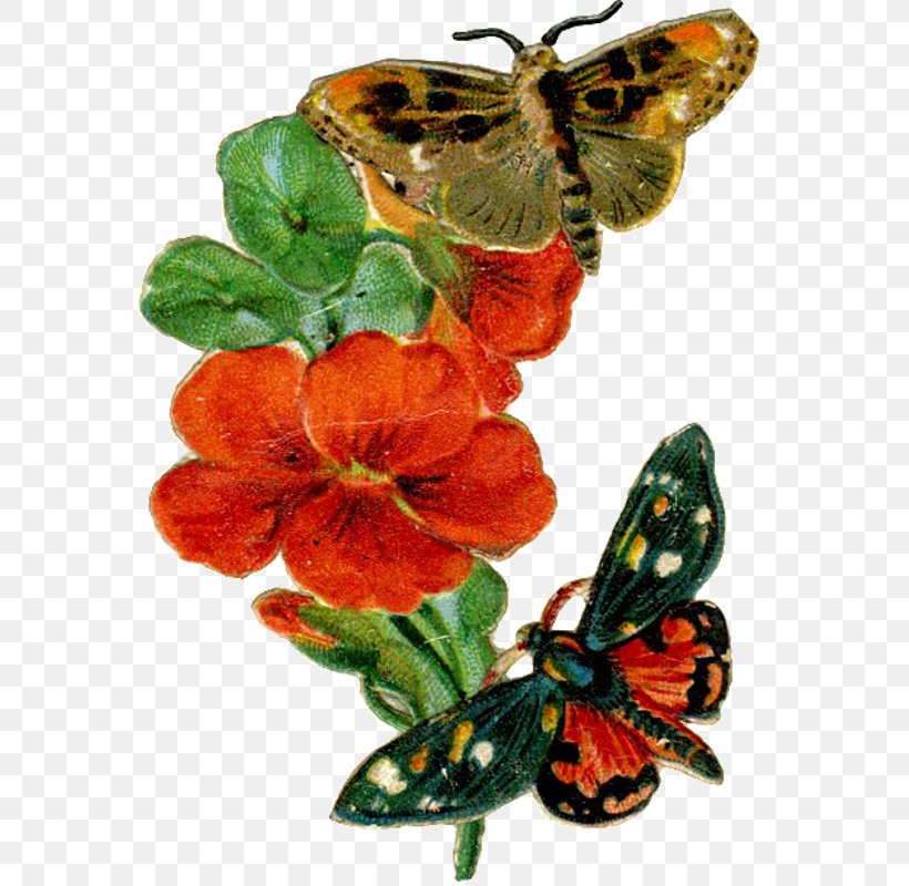 Monarch Butterfly Victorian Era Bokmärke Moth, PNG, 572x800px, Monarch Butterfly, Arthropod, Blade, Brush Footed Butterfly, Brushfooted Butterflies Download Free