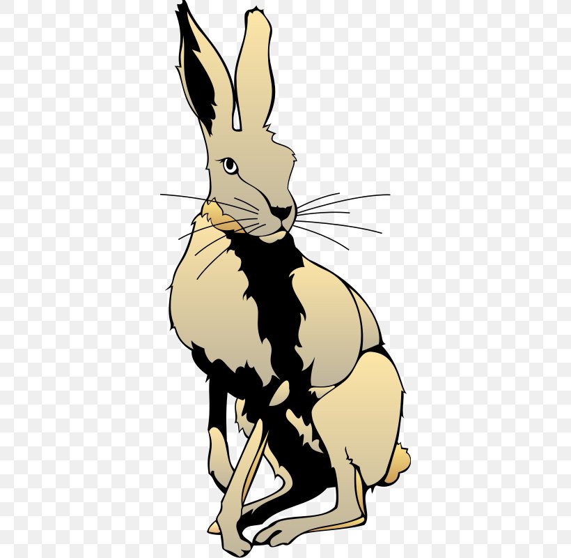 Snowshoe Hare Arctic Hare Rabbit Clip Art, PNG, 360x800px, Snowshoe Hare, Arctic Hare, Art, Artwork, Domestic Rabbit Download Free