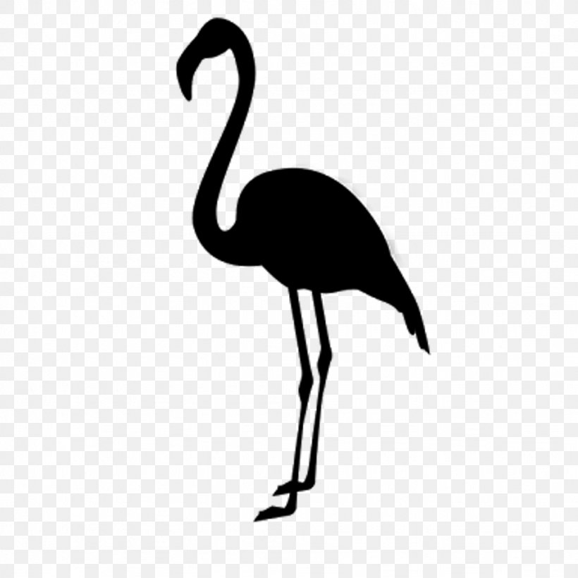 Beak Neck Font Silhouette Ibis, PNG, 1024x1024px, Beak, Bird, Blackandwhite, Crane, Cranelike Bird Download Free