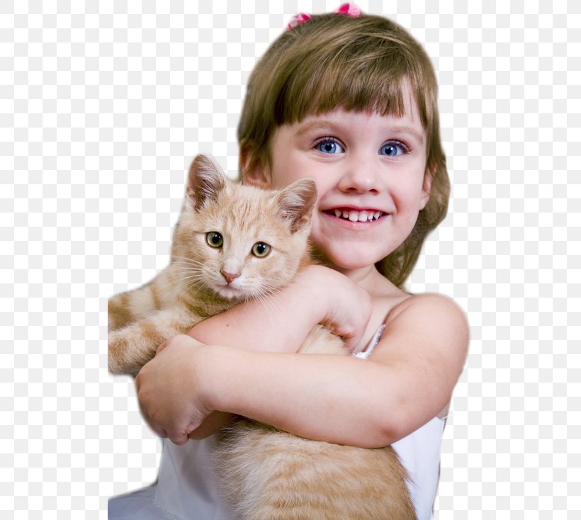 Cat Kitten Dog Pet Adoption, PNG, 515x734px, Cat, Adoption, Animal, Animal Rescue Group, Animal Shelter Download Free