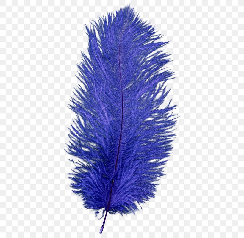 Feather Blue Clip Art Image, PNG, 397x800px, Feather, Bleuviolet, Blue, Blue Rose, Cobalt Blue Download Free