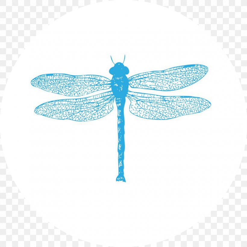 Dragonfly Insect Pillow Antique Towel, PNG, 1080x1080px, Dragonfly, Antique, Arthropod, Azure, Bathroom Download Free