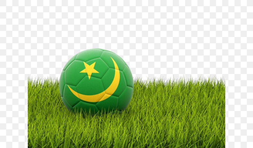 Portugal National Football Team 2018 World Cup Brazil National Football Team Football Player, PNG, 640x480px, 2018 World Cup, Portugal National Football Team, Artificial Turf, Ball, Brazil National Football Team Download Free