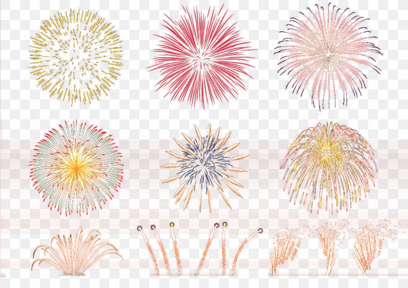 Color Slug Fireworks, PNG, 1001x708px, Watercolor, Cartoon, Flower, Frame, Heart Download Free