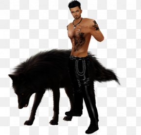 Republic Day Badge - Dog Puppy Wolf Walking Black Wolf Arctic Wolf PNG