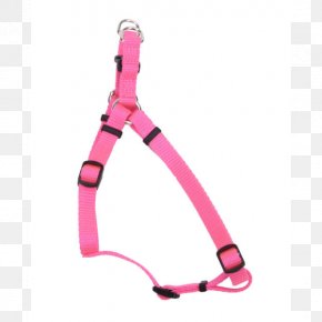 Cat - Leash Cat Braces Puppy Centimeter PNG