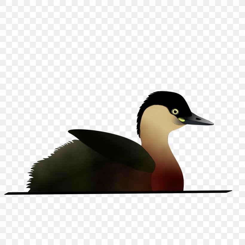 Elephant Background, PNG, 1200x1200px, Watercolor, American Black Duck, Beak, Bird, Duck Download Free