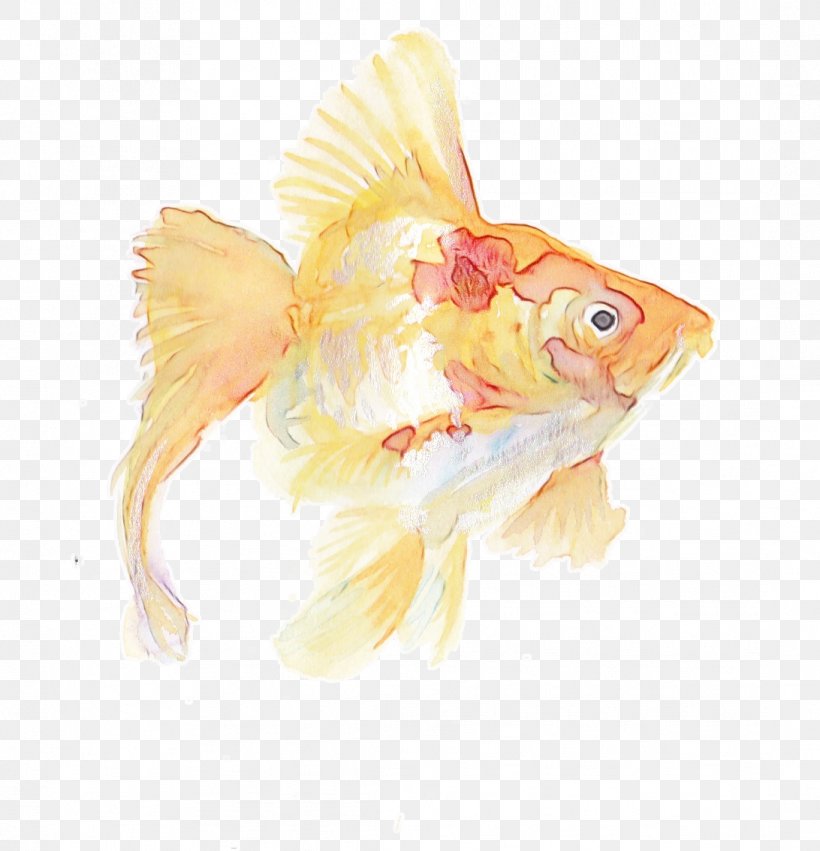 Watercolor Animal, PNG, 1092x1134px, Watercolor, Animal, Bonyfish, Chinese Painting, Drawing Download Free