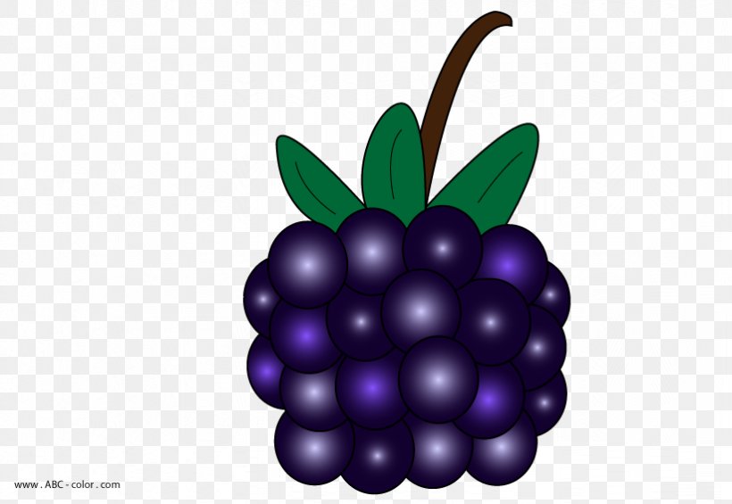 Blackberry Pie Clip Art, PNG, 822x567px, Blackberry, Berry, Bilberry, Blackberry Pie, Blackberry Winter Download Free