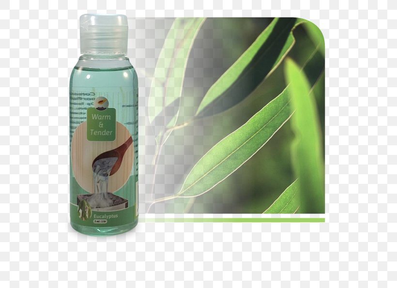 Milliliter Gum Trees Odor Sauna Menthol, PNG, 595x595px, Milliliter, Abachi, Concentrate, Eucalyptus Oil, Gum Trees Download Free