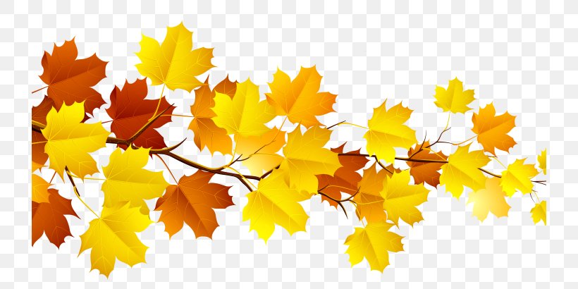 Autumn Leaf Color Clip Art, PNG, 730x410px, Autumn Leaf Color, Autumn, Branch, Document, Leaf Download Free