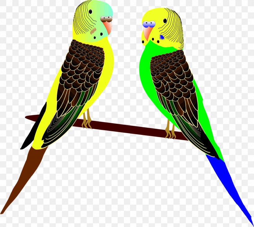 Budgerigar Parrot Bird Cockatiel Clip Art, PNG, 1280x1143px, Budgerigar, Beak, Bird, Cacatua Nimfa, Cockatiel Download Free