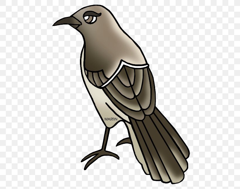 Feather Beak Tail Clip Art, PNG, 533x648px, Feather, Beak, Bird, Crow, Cuckoos Download Free