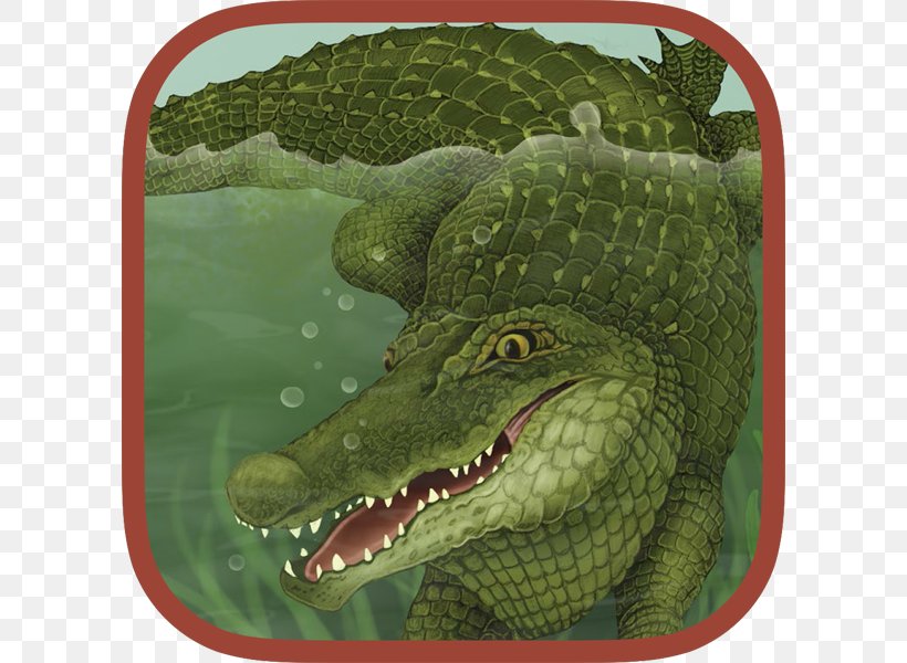 Alligator The Swamp Where Gator Hides The Mouse And The Meadow Dawn Publication Crocodile, PNG, 600x600px, Alligator, Alligator Hunting, Art, Book, Crocodile Download Free