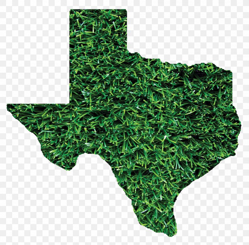 Austin Sprinturf, LLC Company Public Utility Commission Of Texas Service, PNG, 1998x1973px, Austin, Architectural Engineering, Business, Camouflage, Company Download Free