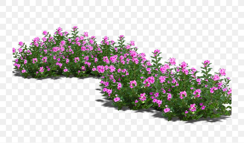Bonsai Flowerpot, PNG, 736x481px, Bonsai, Annual Plant, Flower, Flowering Plant, Flowerpot Download Free