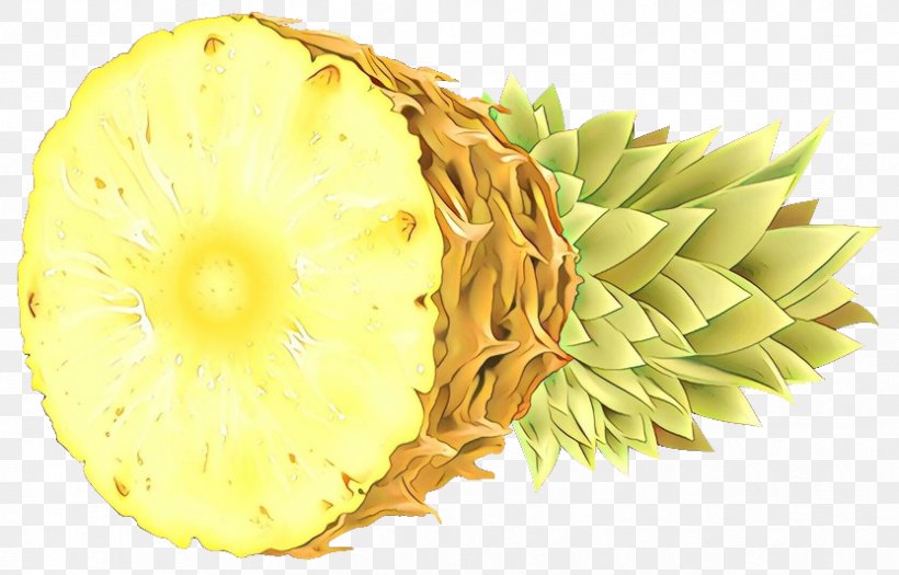 Pineapple Clip Art Smoothie Juice, PNG, 832x533px, Pineapple, Ananas, Bromeliaceae, Food, Fruit Download Free