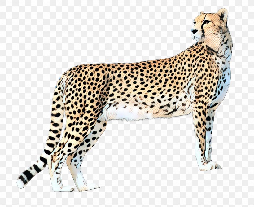 Cheetah Felidae Leopard Lion, PNG, 1607x1310px, Cheetah, African Leopard, Animal Figure, Big Cat, Big Cats Download Free