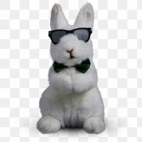Rabbit - Domestic Rabbit Whiskers Cassegrain Stuffed Animals & Cuddly Toys PNG