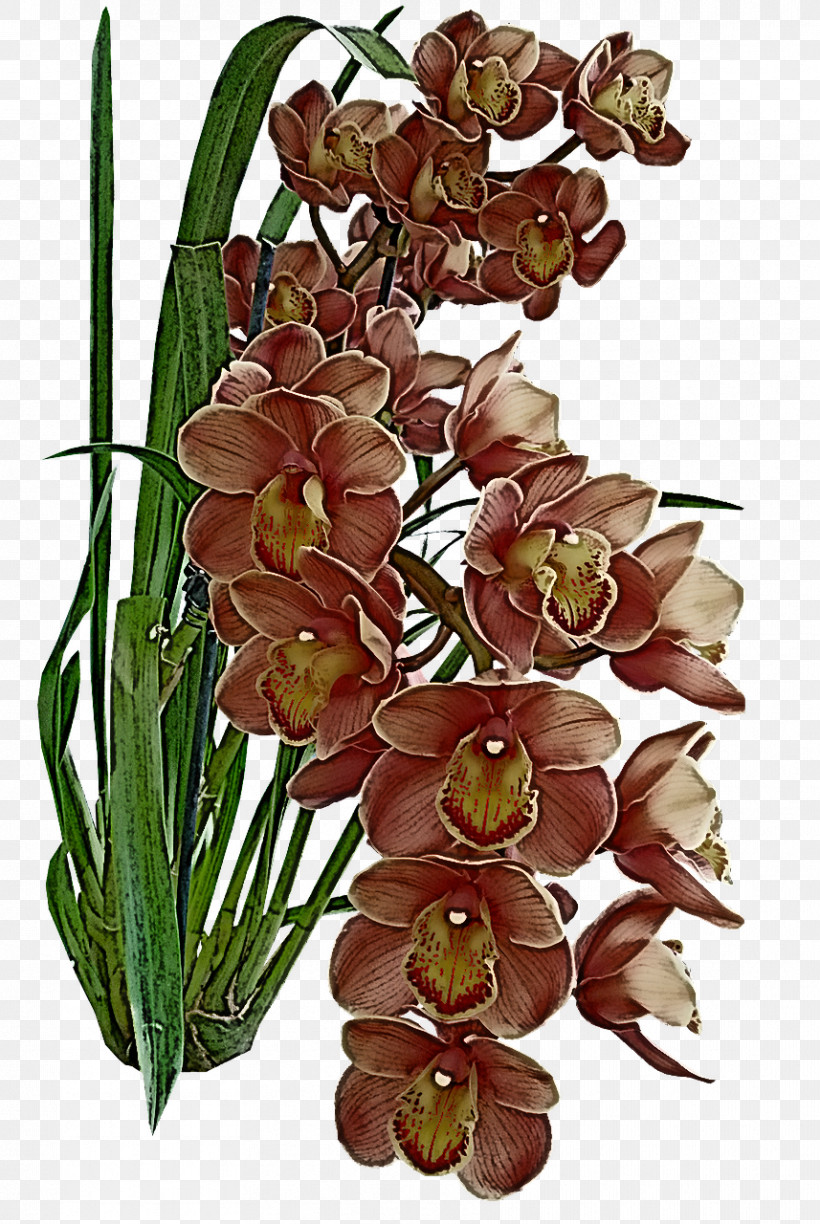 Floral Design, PNG, 857x1280px, Cut Flowers, Dendrobium, Floral Design, Flower, Flower Bouquet Download Free