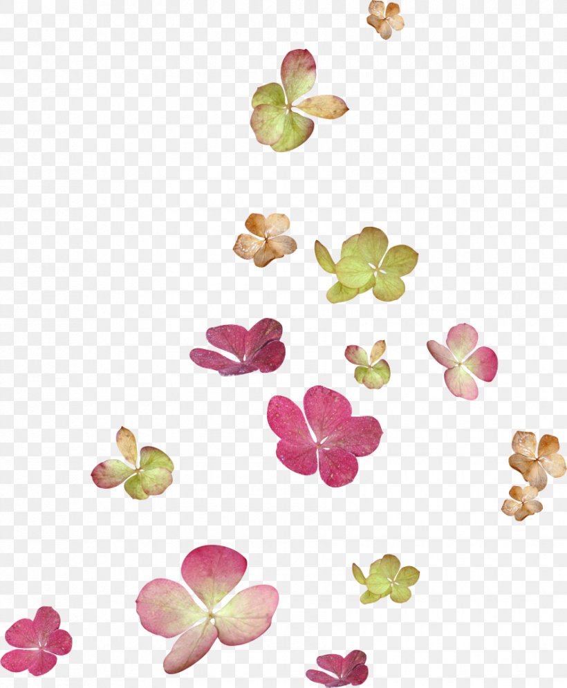 Flower Petal Clip Art, PNG, 890x1080px, Flower, Birthday, Centrepiece, Color, Digital Image Download Free