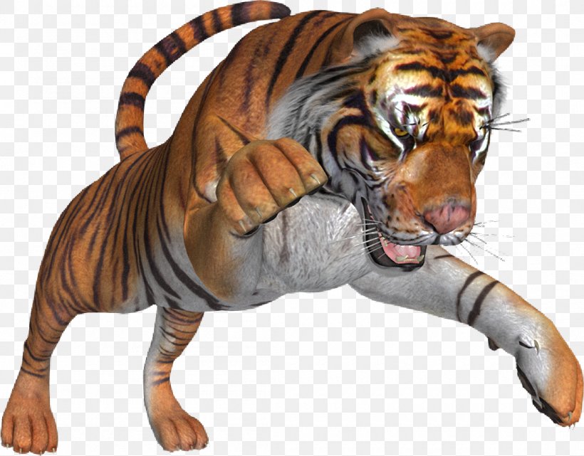 Lion Leopard Cat Felidae Cheetah, PNG, 1100x861px, Lion, Animal, Bengal Tiger, Big Cat, Big Cats Download Free