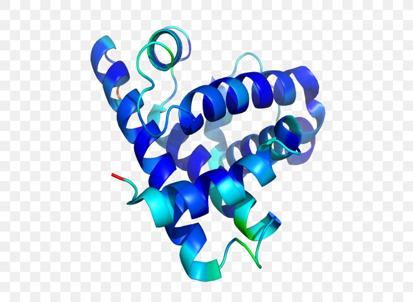 Protein Structure Myoglobin Peptide, PNG, 542x600px, Protein Structure, Amino Acid, Body Jewelry, Molecule, Myoglobin Download Free