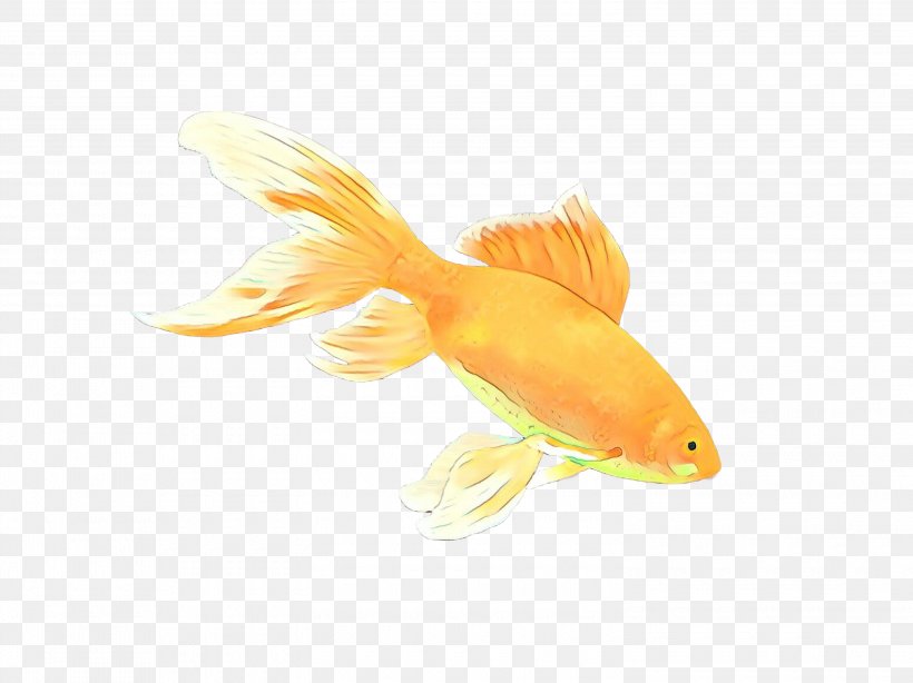 Fish Cartoon, PNG, 3000x2249px, Cartoon, Bonyfish, Cyprinidae, Feeder Fish, Fin Download Free
