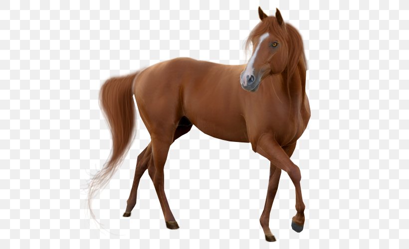 Horse Mare Stallion Clip Art, PNG, 500x500px, Horse, Animal Figure, Bridle, Colt, Display Resolution Download Free